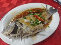 -先鲜鲫鱼粥