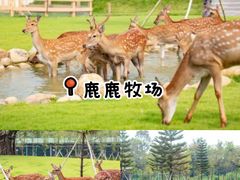 -盈香心动乐园