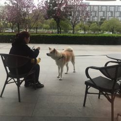 -咪咪专业脱毛连锁机构
