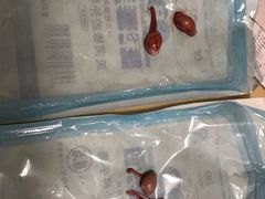 -仁普宠物诊所(住友昌盛新苑店)