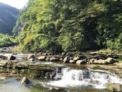 -黎坪国家森林公园