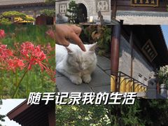 -西安大兴善寺