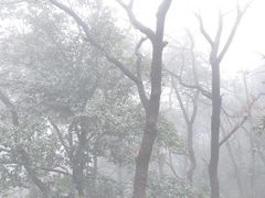 -北高峰