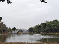 -映月湖公园