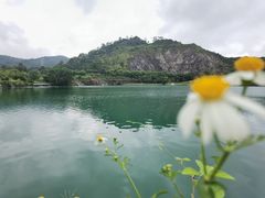 -水濂山森林公园