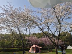 -石湖景区