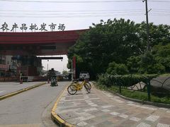 东门-江杨农产品批发市场