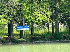 -上海海湾国家森林公园