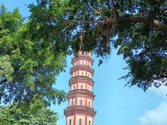 -广州莲花山旅游区