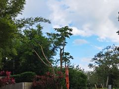 -七仙岭温泉国家森林公园