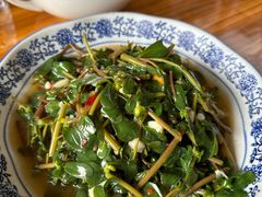 马齿苋-瑶河山里菜