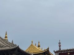 -塔尔寺-菩提树