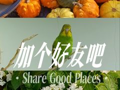 -龙湖重庆时代天街