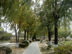 -前关湿地公园