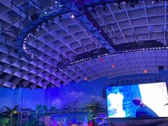 -海合安武汉极地海洋公园