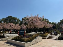 -新江湾城公园