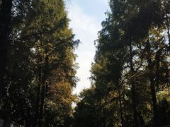-W CAFE(甜爱路店)