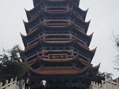 -铁山坪森林公园