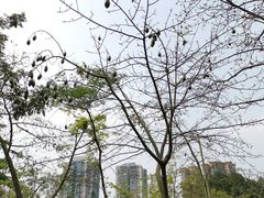 -晓港公园