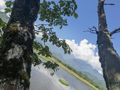 -大九湖