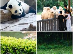 -宁波野生动物园