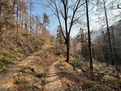 -素山寺森林公园