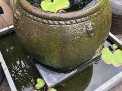 -悦哉·派对·草坪婚礼·围炉煮茶(三圣乡店)