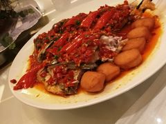 -沈阳于洪碧桂园凤凰酒店