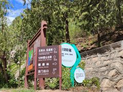 -北京十三陵国家森林公园蟒山景区