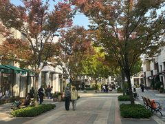 -比斯特上海购物村精品奥特莱斯