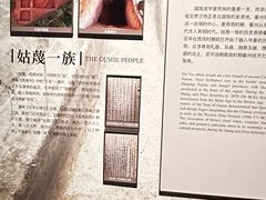 -衢州市博物馆