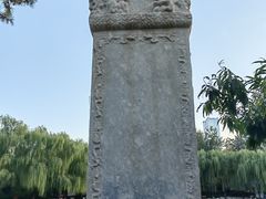 -团结湖公园