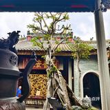 等一个姑姑的时间再次来到佛山！！！