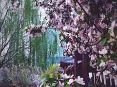 -元大都城垣遗址公园