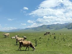 -新疆那拉提国家旅游度假区