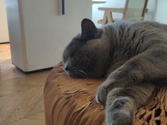 -Me Coffee下午茶艺术空间