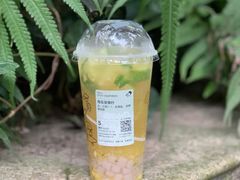 海盐菠爆柠-喜茶(北京华贸购物中心店)