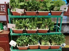 -天和晟新京菜.水煮鱼.湘土菜(国展店)