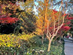 -杭州半山国家森林公园