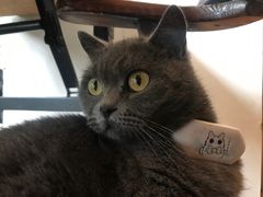 -春笙食堂.丼饭拉面寿司(GOGO新天地店)