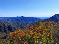 -大岭沟猕猴桃谷风景区