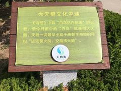 -烟墩角天鹅湖