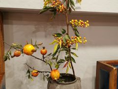 -七菜馆·东北菜·蒸饺(文体路店)