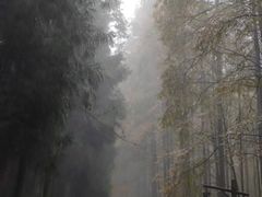 -山王坪喀斯特国家生态公园