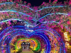 -三亚海昌梦幻海洋不夜城