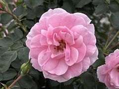 -牛岗山公园