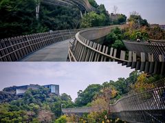 -福道