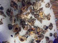 -圣罗巴海鲜烤肉自助(赤峰店)