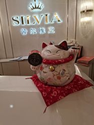 -茜尔维亚修身连锁