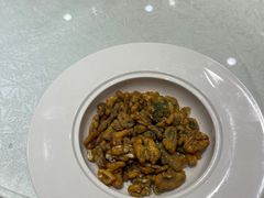 -新日月育才大酒店-中餐厅(环城北路店)
